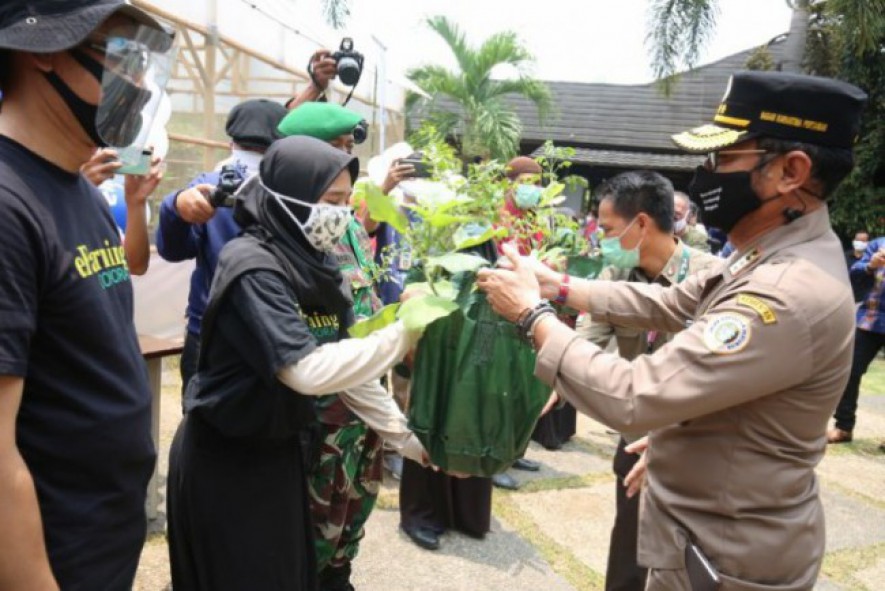 Kementerian Pertanian menyerahkan tanaman kepada masyarakat