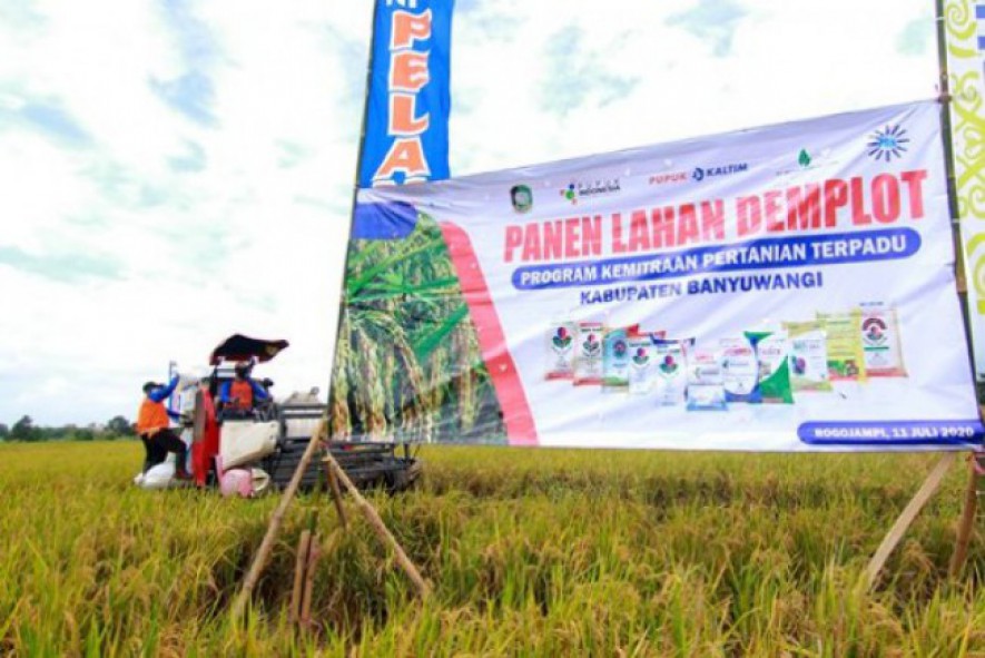 Agro-Solution, Cara Produsen Pupuk Memajukan Sektor Pertanian Tanah Air