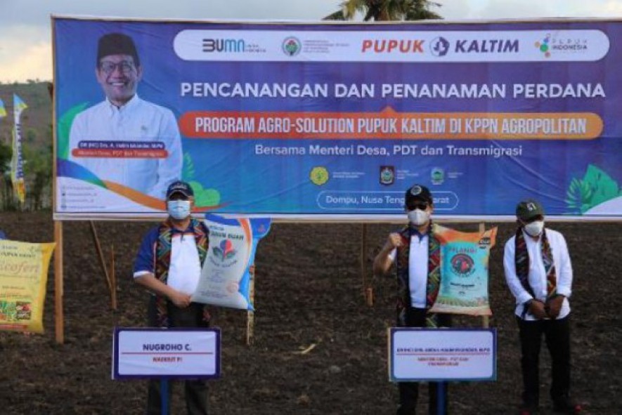 Program Agro Solution Tingkatkan Produktifitas Jagung di Dompu NTB 