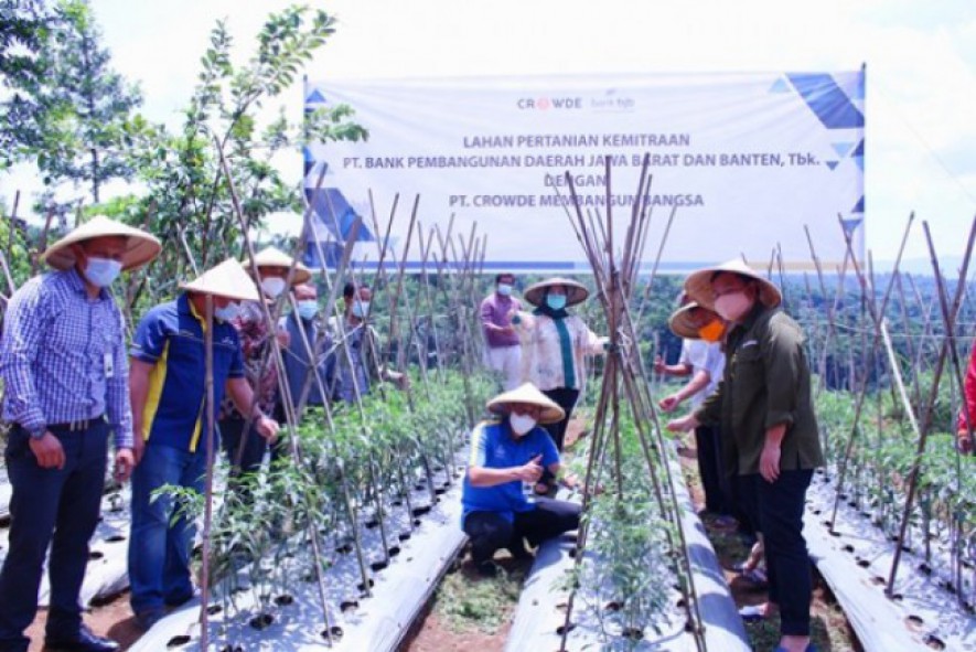 Bank BJB-CROWDE Tingkatkan Derajat Mitra Petani 