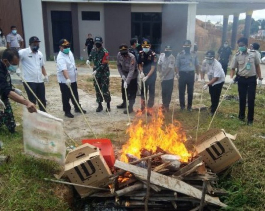 Satgas Pamtas Yonif 642 Kapuas Musnahkan Barang Ilegal Asal Malaysia