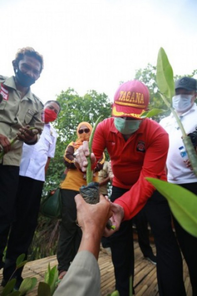 Direktur Perlindungan Sosial Korban Bencana Alam Kemensos RI M Safii Nasutions melakukan simulasi kebencanaan dan penanaman bibit manggrove di pantai Ayah, Kebumen