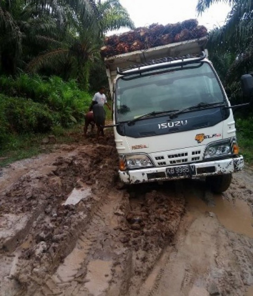 SPKS Desak Pemerintah Perhatikan Jalan Kebun Petani Sawit