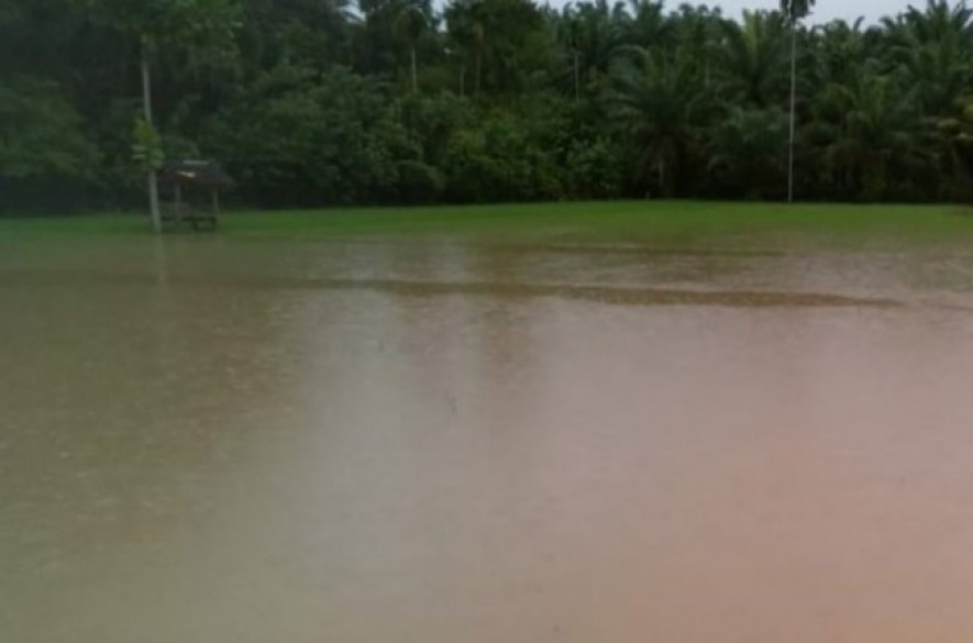 Lahan pertanian yang terdampak banjir