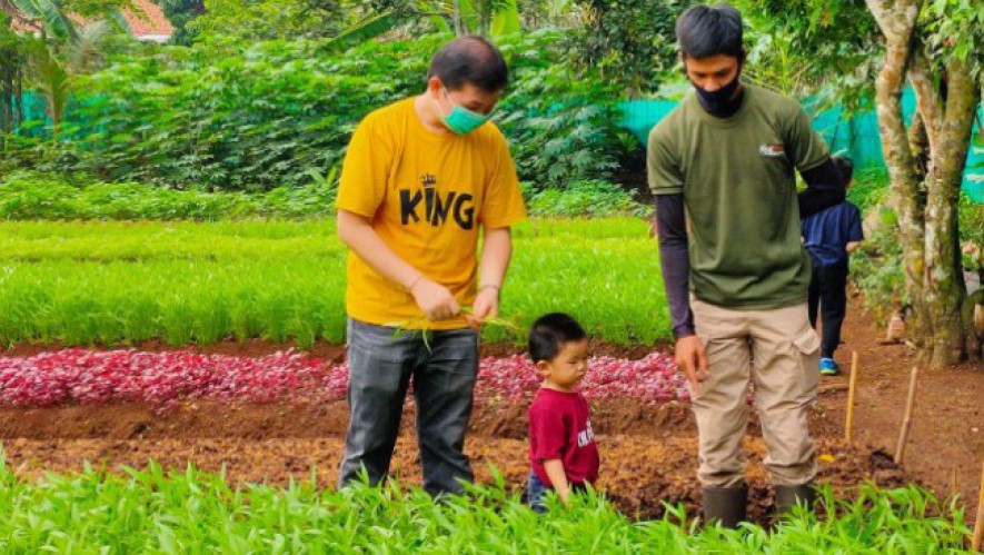 Ilustrasi pengenalan anak kepada pertanian