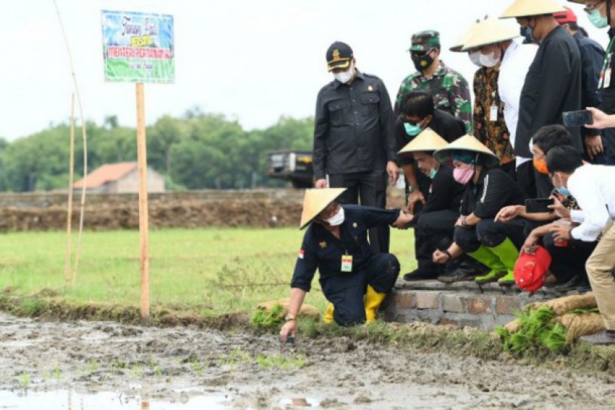 Menteri Pertanian Syahrul Yasin Limpo di tepi sawah