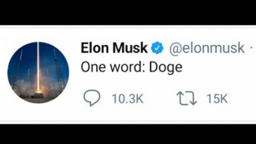 Cuitan Elon Musk