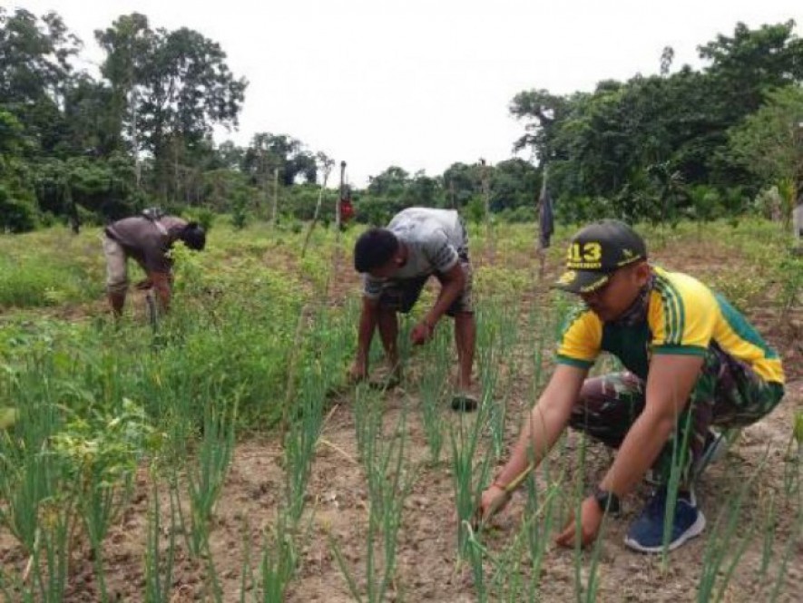 Satgas Yonif MR 413 Kostrad Tingkatkan Program Ketahanan Pangan