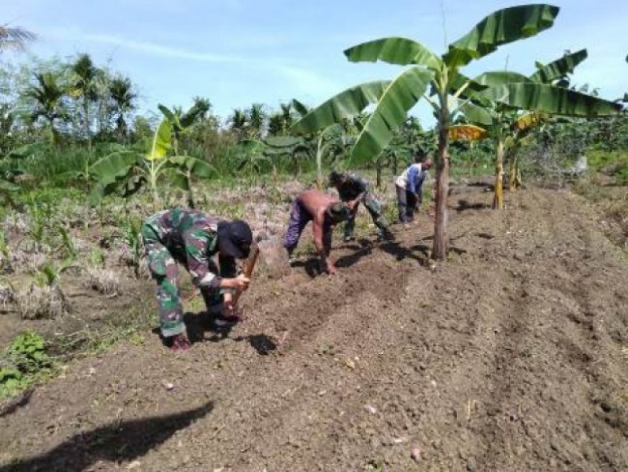 Satgas Yonif MR 413 Tingkatkan Program Ketahanan Pangan Masyarakat