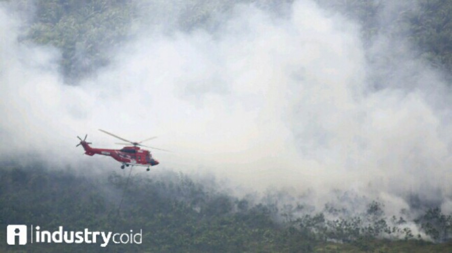 Kebakaran hutan