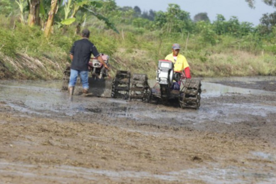 Petani sedang membajak lahan persawahan