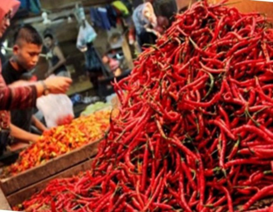 Pembeli sedang membeli cabe