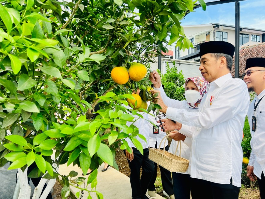 President Jokowi and Mrs. Iriana Joko Widodo inspect various commodities such as dekopon oranges at the Al-Ittifaq Kopontren in Rancabali District, Bandung Regency, West Java, Monday (06/03/2023). (Photo: BPMI Setpres/Laily Rachev)