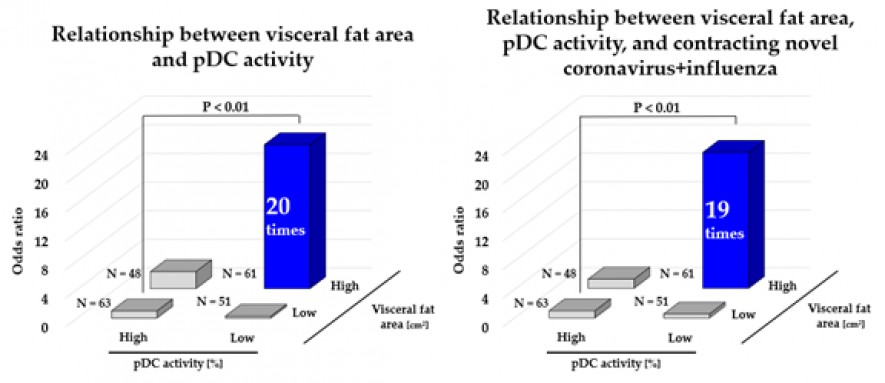 Japan’s First Discovery 1 on Visceral Fat and Immune Activity in Joint Research by Kirin Holdings and Kao