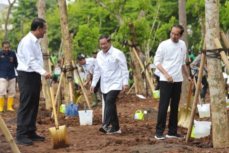 President Jokowi Calls for Tree-Planting Movement in Anticipation of Climate Change 