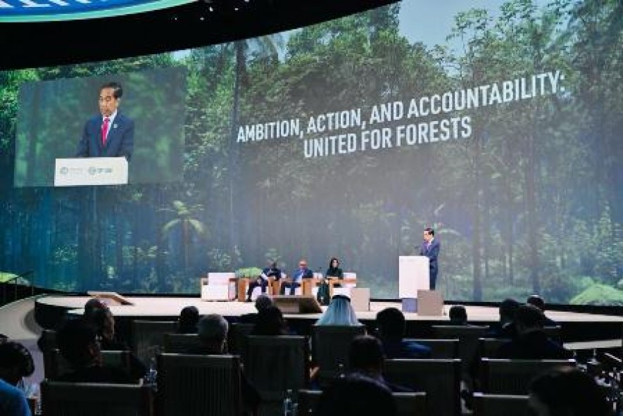 President Jokowi Unveils Indonesia’s Steps to Reach Net Carbon Sink in Forestry, Land Sectors 