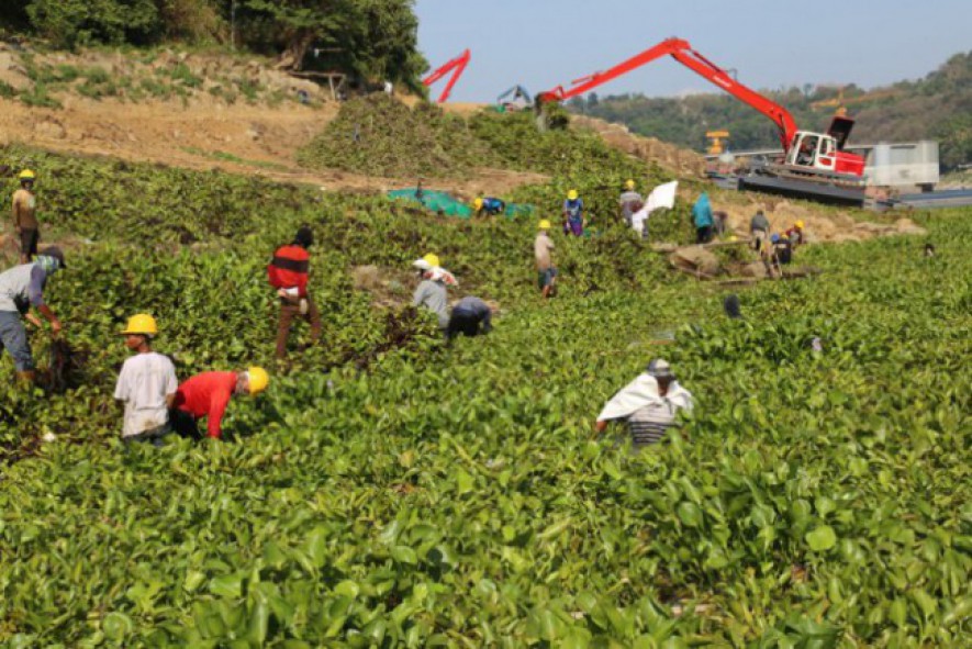 Gotong Royong Pembersihan Sampah dan Eceng Gondok di Perairan Waduk Jatiluhur (Photo by BUMN)